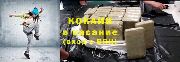 индика Нягань