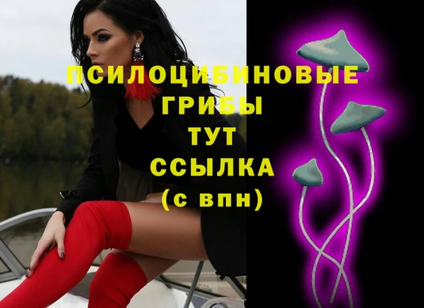 бутират Няндома
