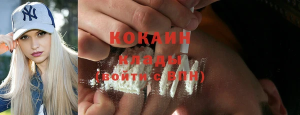 индика Нягань