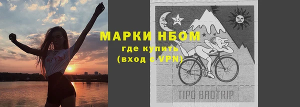 индика Нягань