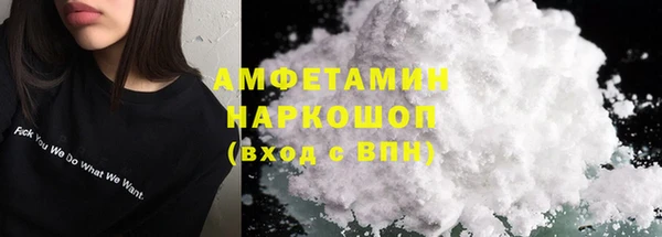 индика Нягань