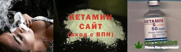индика Нягань