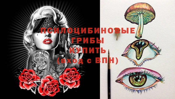 индика Нягань