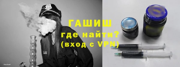 индика Нягань