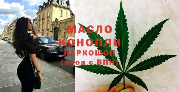 индика Нягань