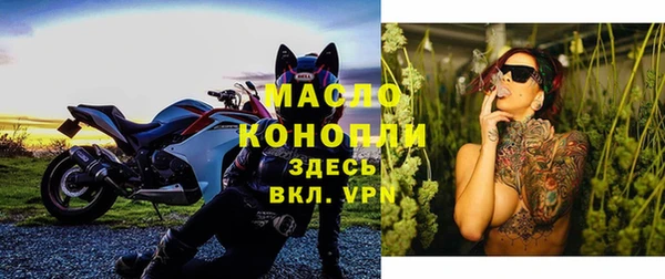 индика Нягань