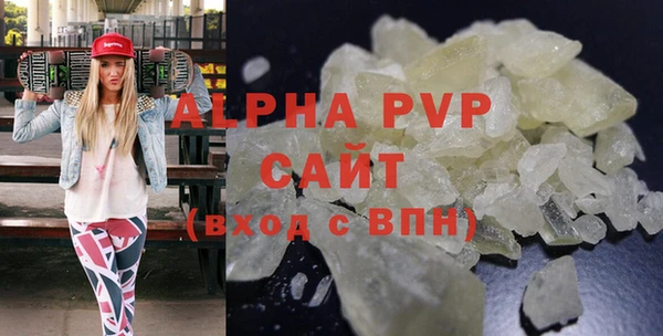 индика Нягань