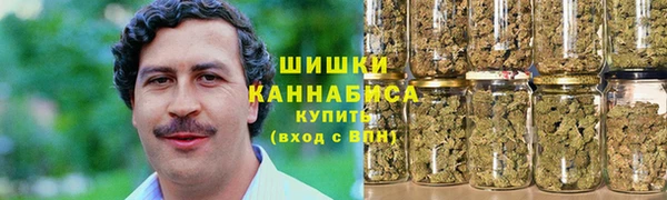 индика Нягань