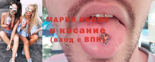 индика Нягань