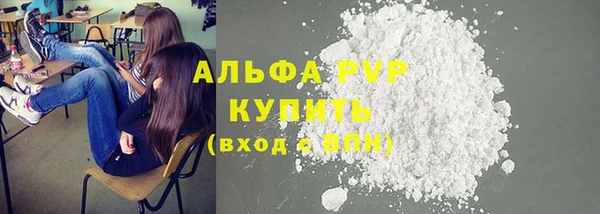 индика Нягань