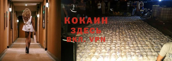 индика Нягань