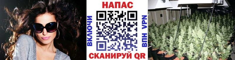 Бошки Шишки марихуана  Лодейное Поле 